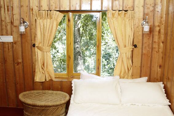 Shola Periyar Tree House, Thekkady 2